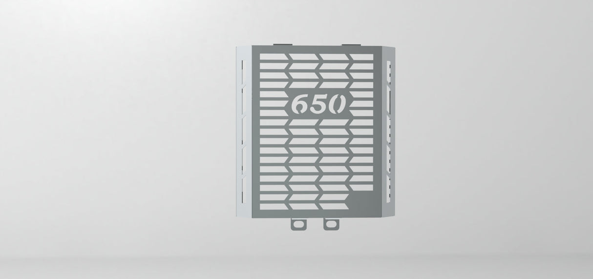 GT 650 / INTERCEPTOR 650 RADIATOR GAURD SS - SB 977