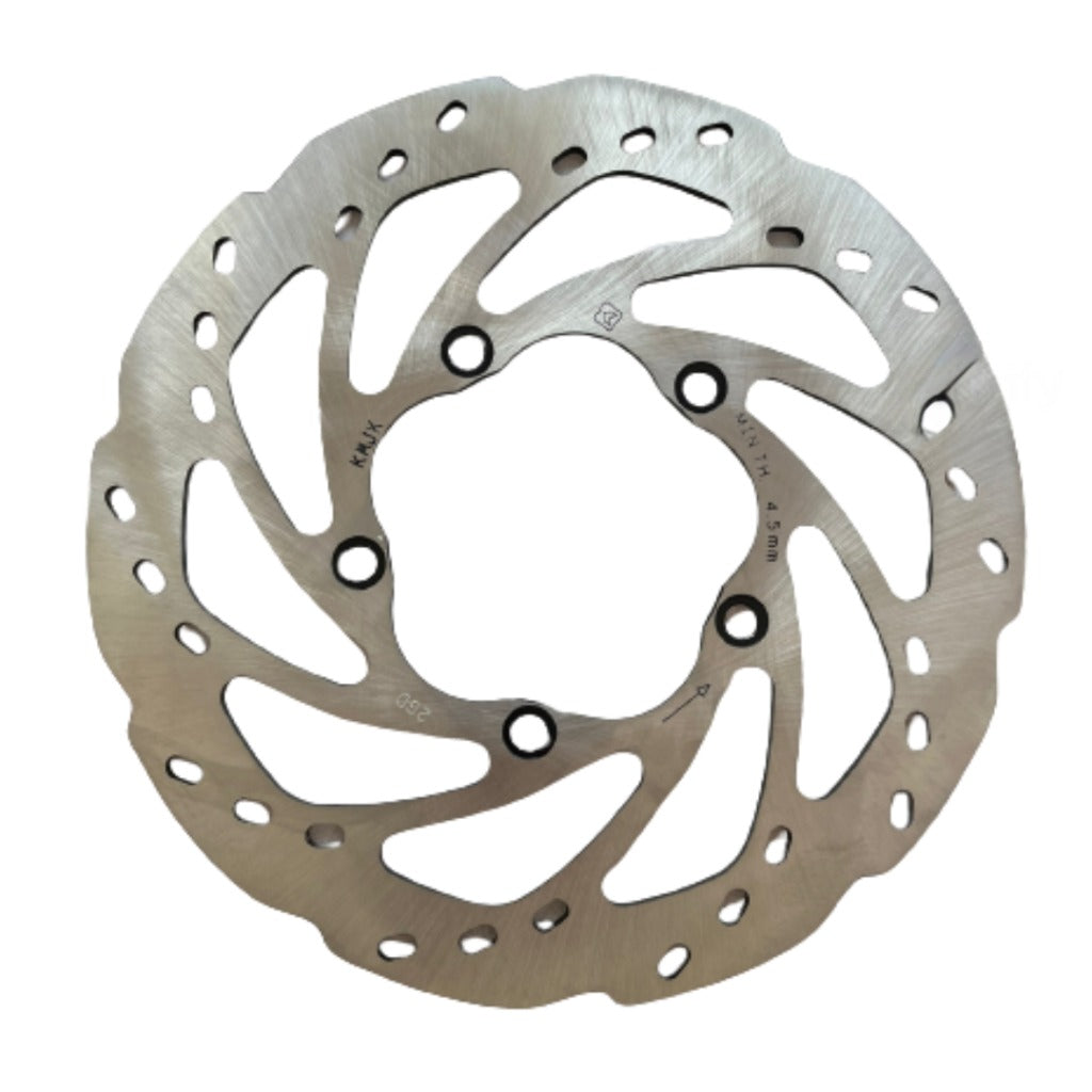 Apache RR 310/BMW 310 front disc plate | TVS