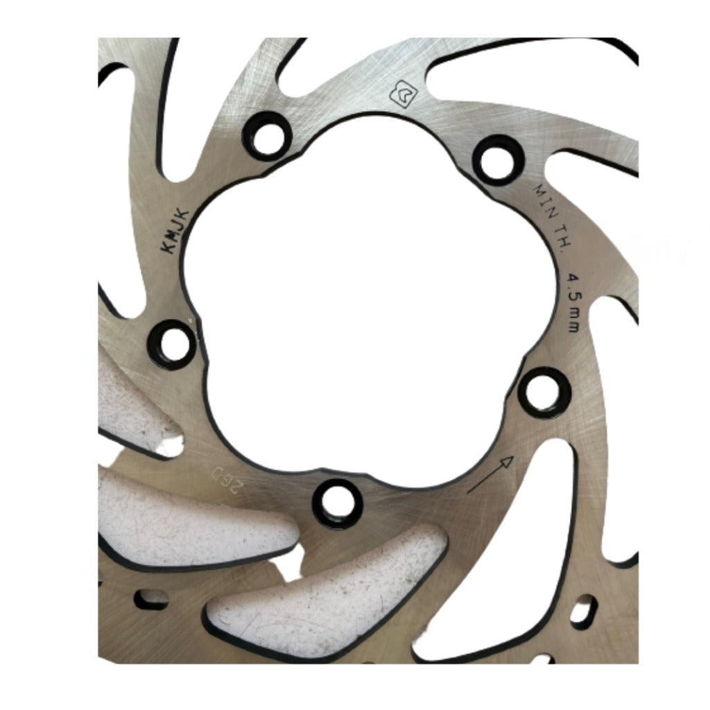 Apache RR 310/BMW 310 front disc plate | TVS