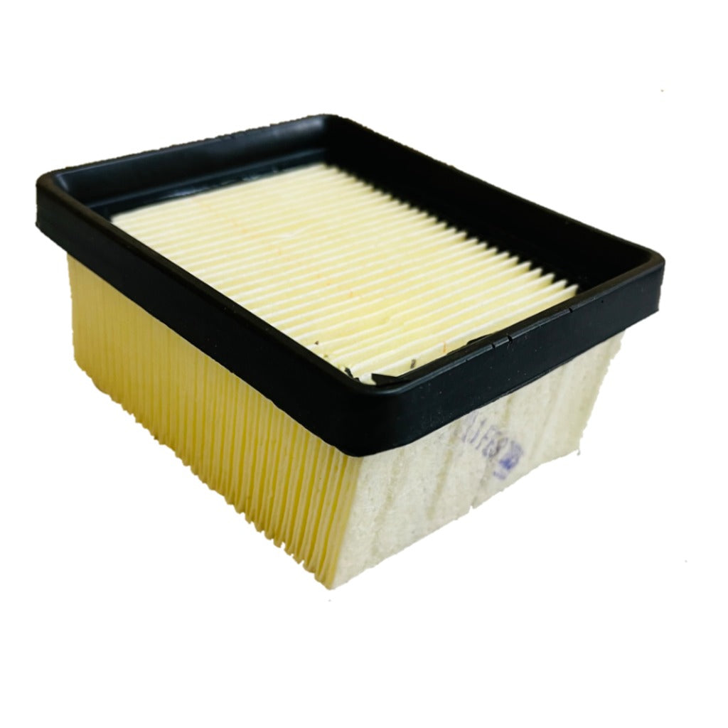 Apache RR 310/BMW 310 GS/R air filter (stock) | TVS | BMW