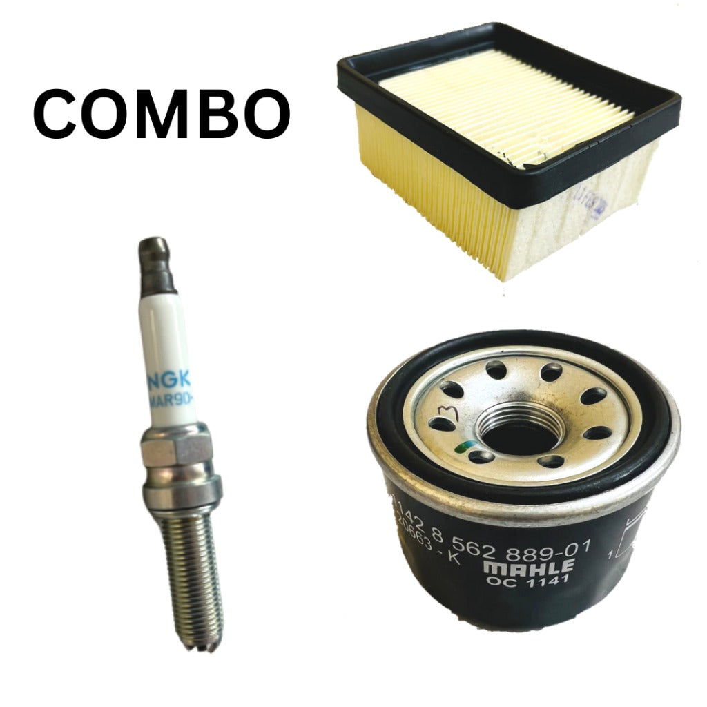 Apache RR 310 / BMW 310 R/GS service kit (combo)