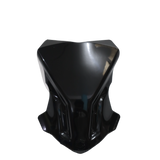 POLYCARBONATE VISOR FOR APACHE RTR 310