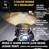 Vaishnu Triumph Speed 400 & Scrambler 400 X